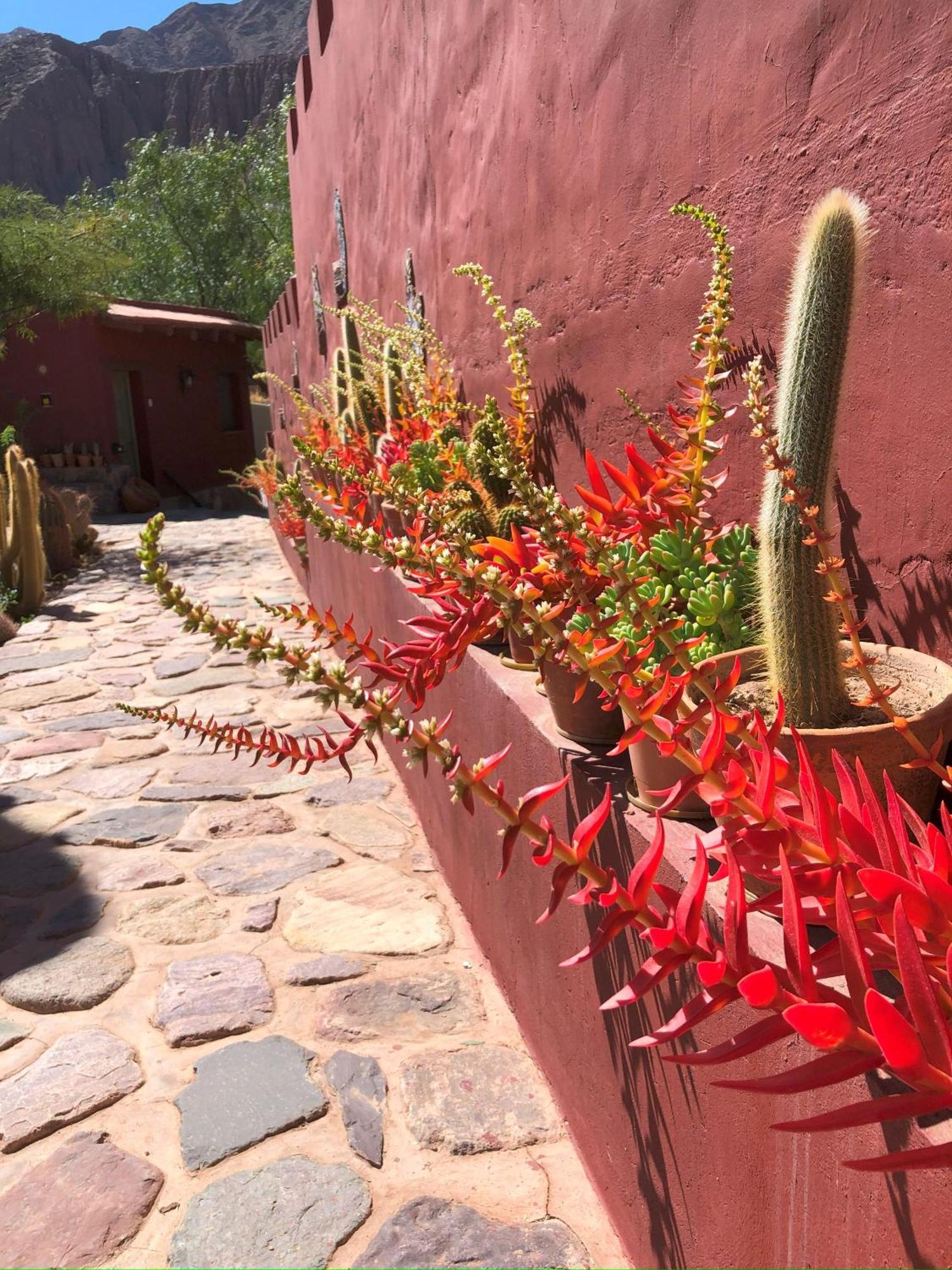 Posta De Purmamarca Bed & Breakfast Exterior photo