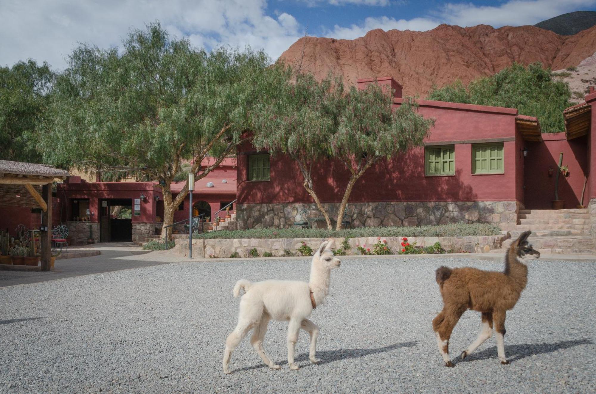 Posta De Purmamarca Bed & Breakfast Exterior photo