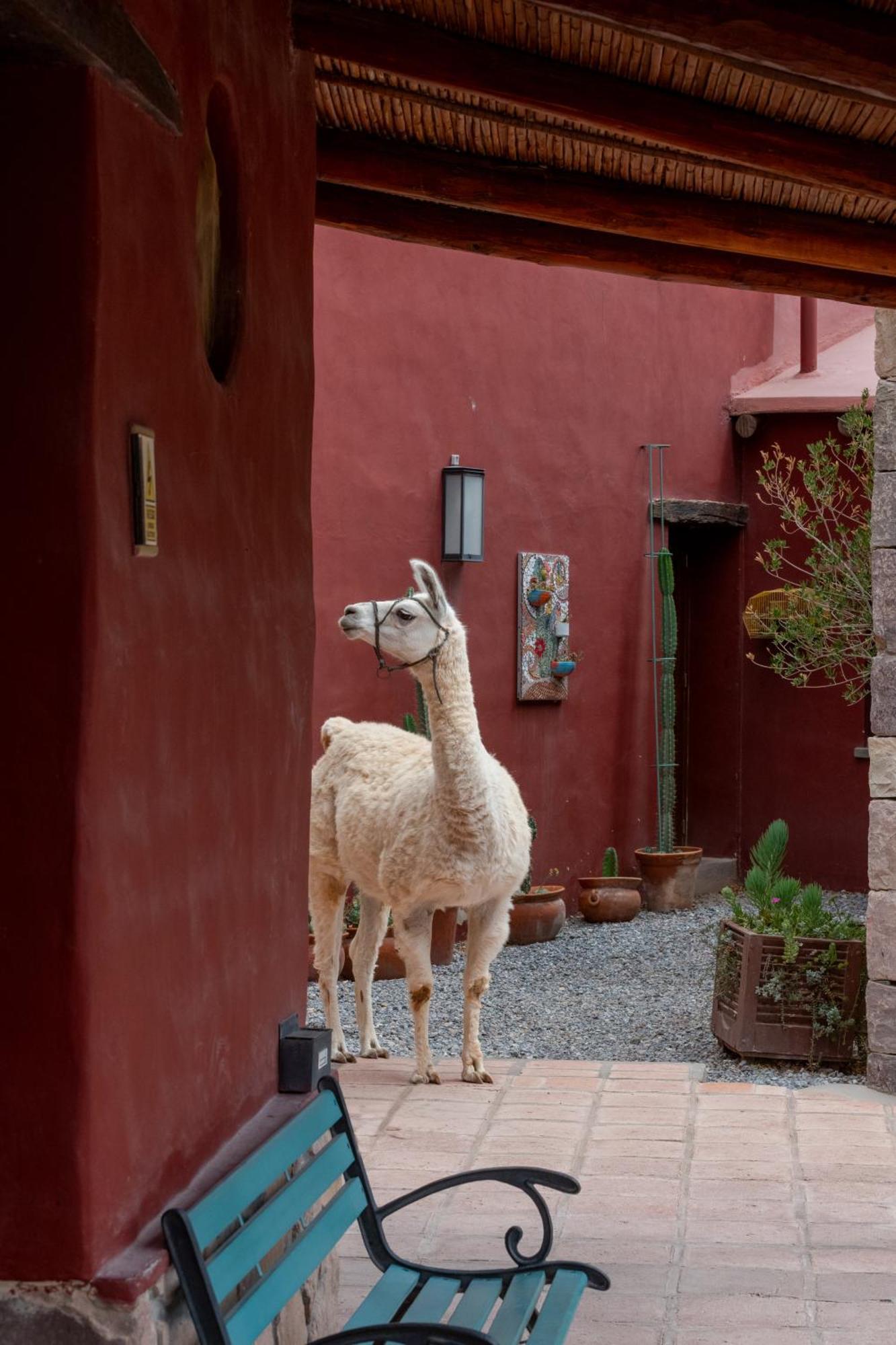 Posta De Purmamarca Bed & Breakfast Exterior photo