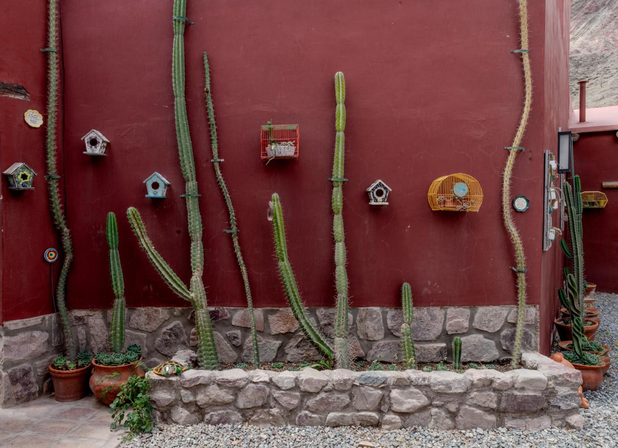 Posta De Purmamarca Bed & Breakfast Exterior photo