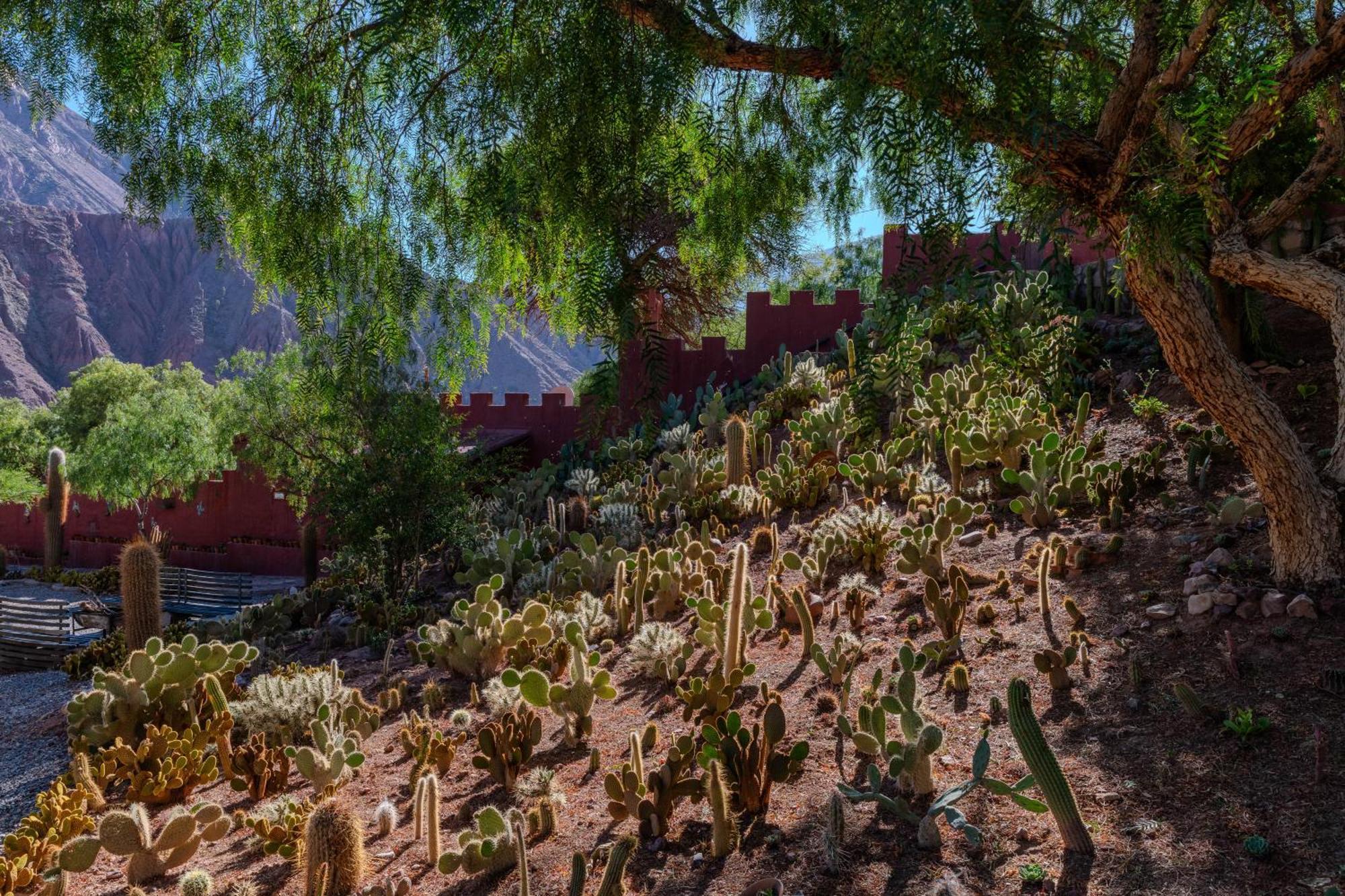 Posta De Purmamarca Bed & Breakfast Exterior photo
