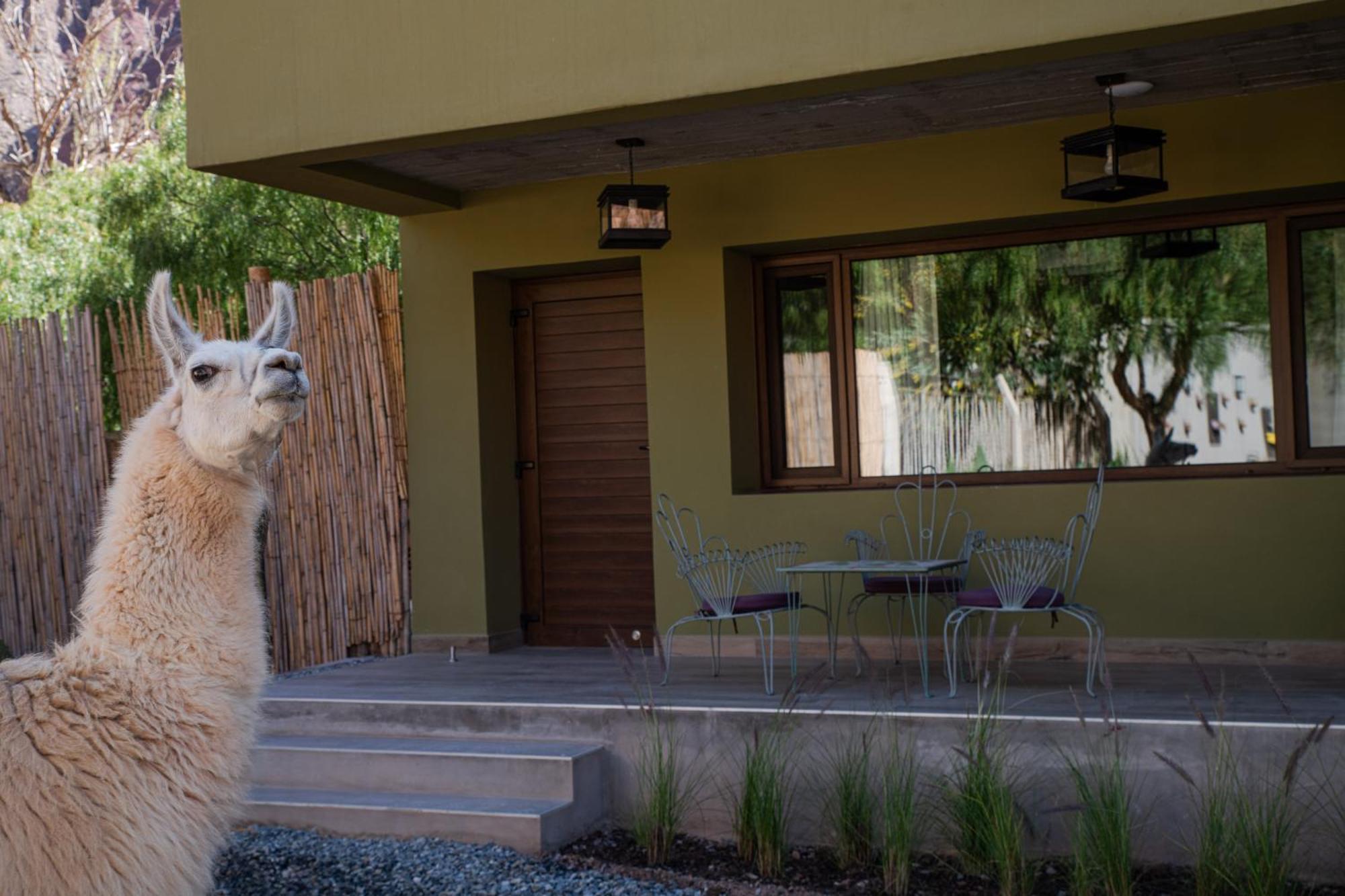 Posta De Purmamarca Bed & Breakfast Exterior photo